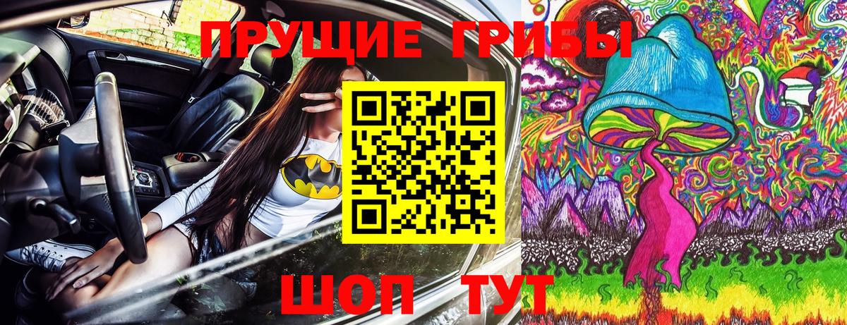 Псилоцибиновые грибы Psilocybe  Вход с VPN  Асбест 